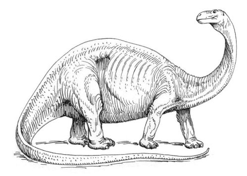 Brontosaurus